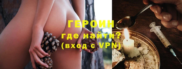 индика Сатка