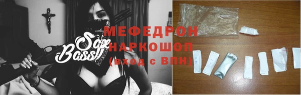 индика Сатка