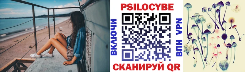 купить наркотики сайты  Звенигово  Псилоцибиновые грибы мухоморы 