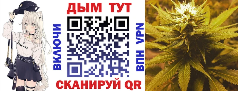 KRAKEN как войти  Звенигово  Бошки Шишки гибрид  как найти  